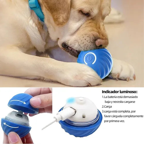 Pelota Interactiva para mascotas